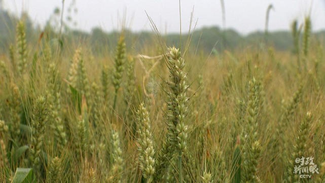 6375659887607-21.jpg undefined